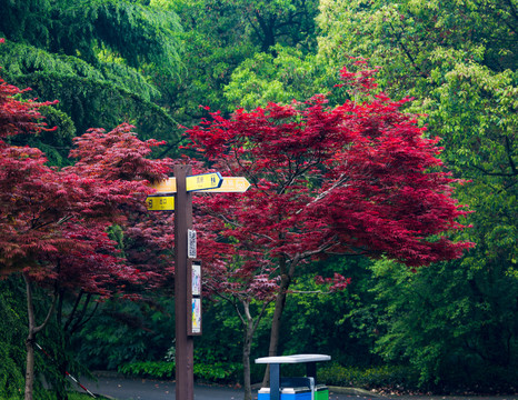 公園一角