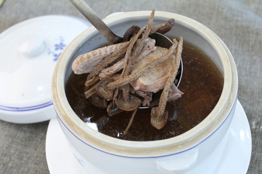 茶樹菇燉湯