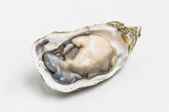 生蠔