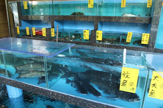 海鮮池