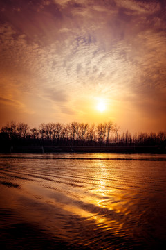 夕陽