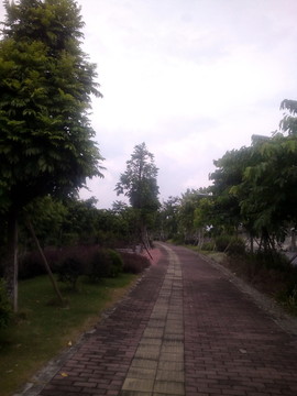 公園小徑