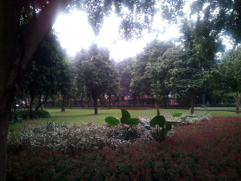 公園風(fēng)景