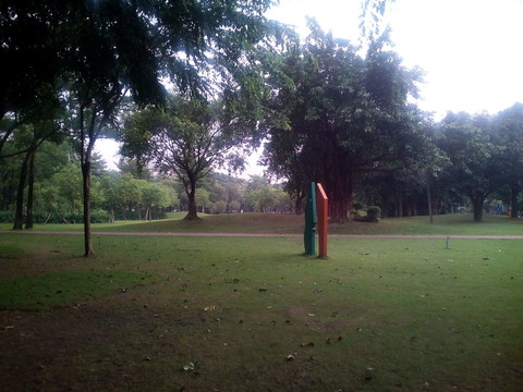 公園草坪