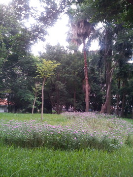公園綠地