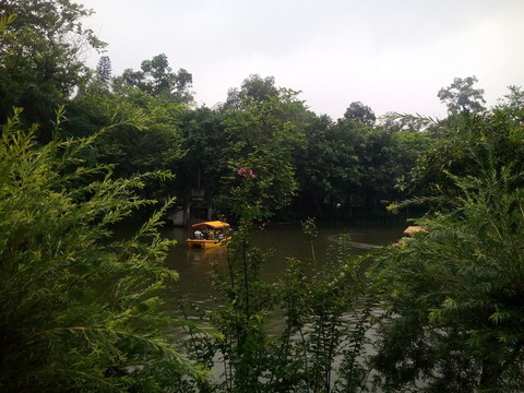 公園湖水