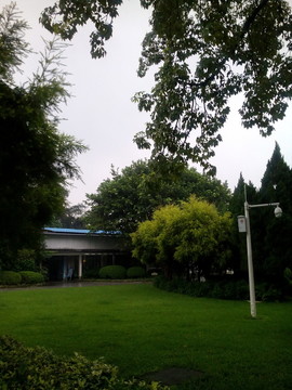 公園綠草坪