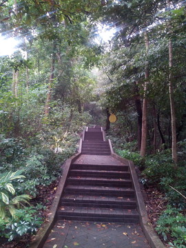 公園小徑