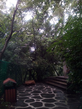 公園一角