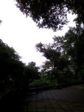 公園小路
