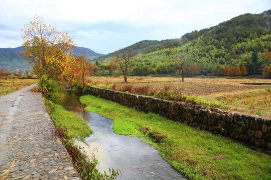 秋日田野