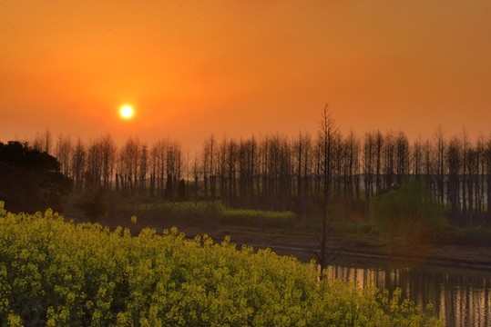 夕陽下的田園風景