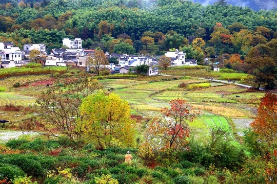 塔川秋日風(fēng)光
