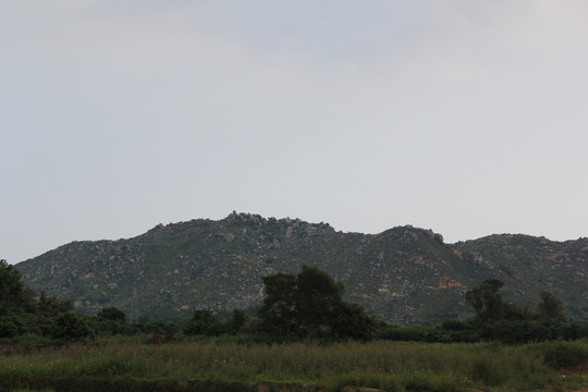 田野