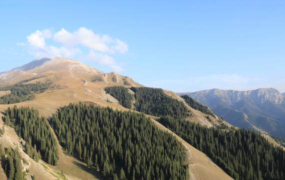 高山峻嶺
