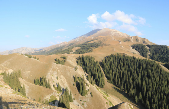 高山峻嶺