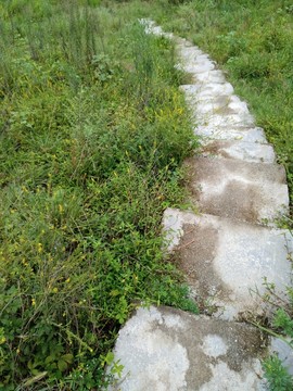 鄉(xiāng)村小路