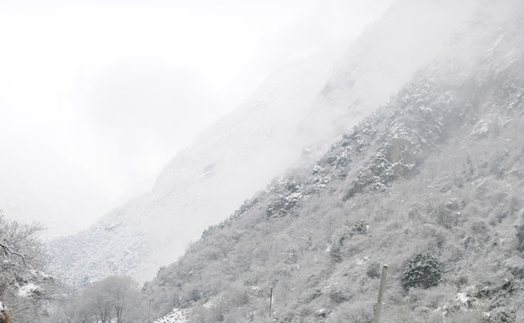 雪山