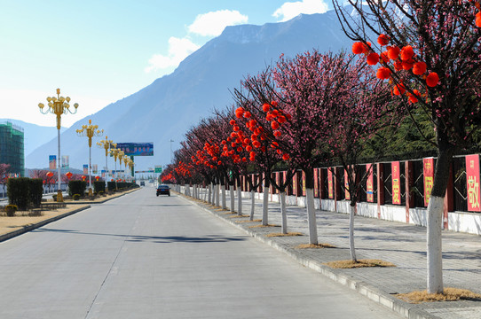 林芝桃花