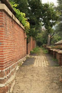 小路