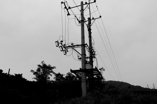 電線桿