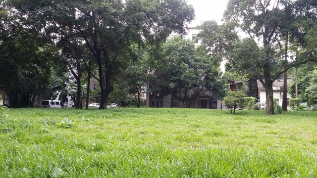 中山大學(xué)校園
