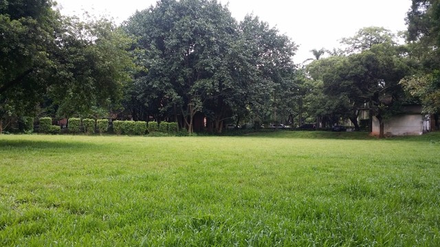 中山大學(xué)校園