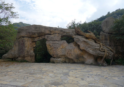 金佛山生態(tài)石林