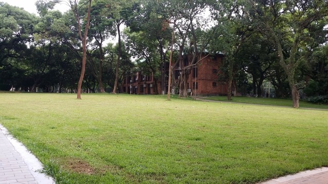 中山大學(xué)校園