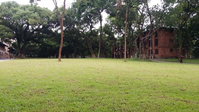 中山大學(xué)校園