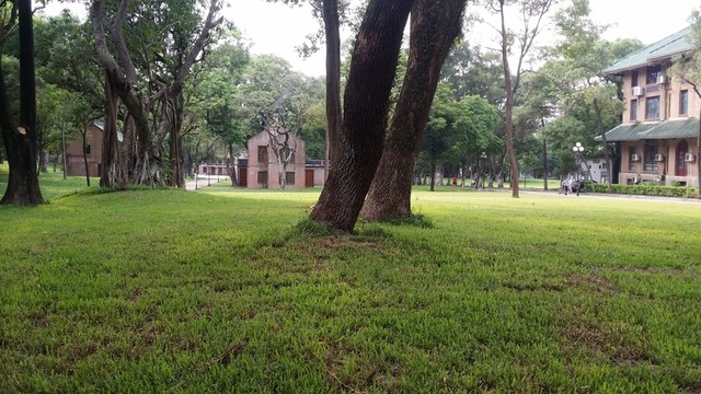 中山大學(xué)校園