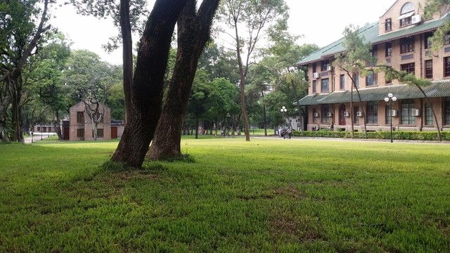 中山大學(xué)校園