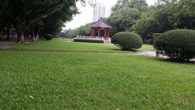 中山大學(xué)校園