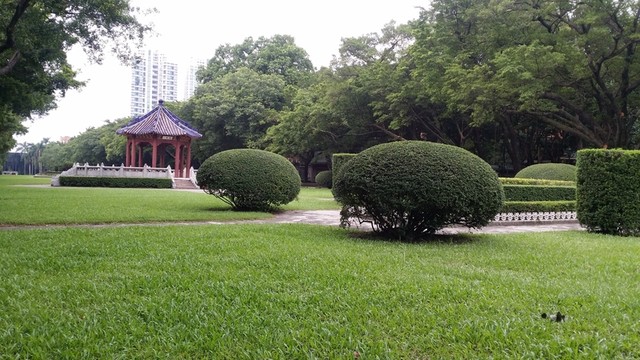 中山大學(xué)校園