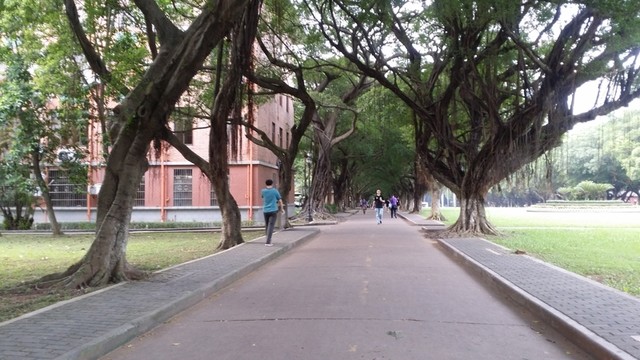 中山大學校園