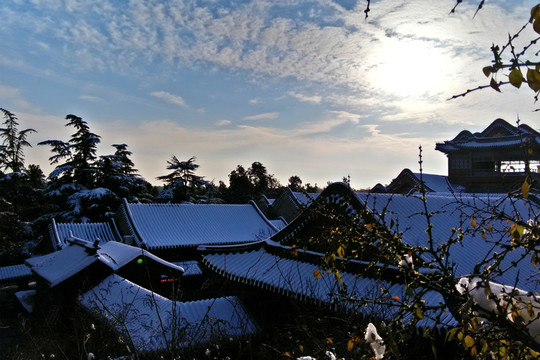 頤和雪景