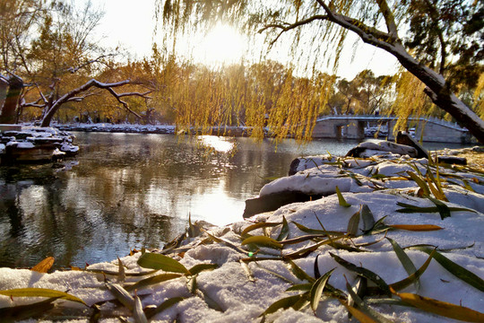 頤和雪景