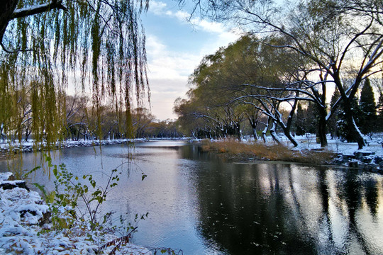 頤和雪景