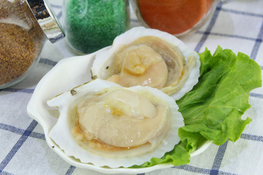 扇貝