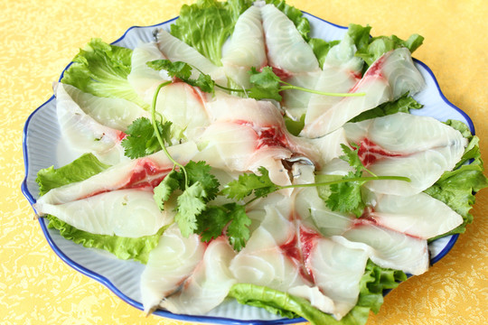鯇魚(yú)片