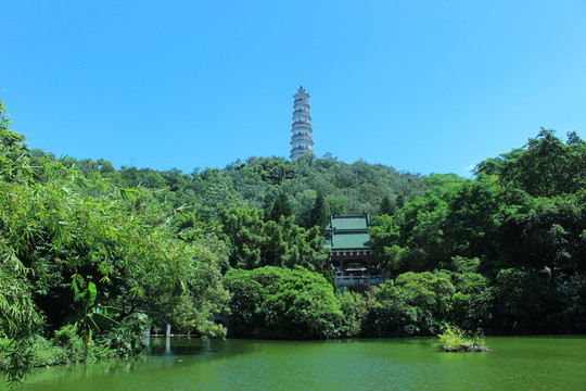 公園旅游