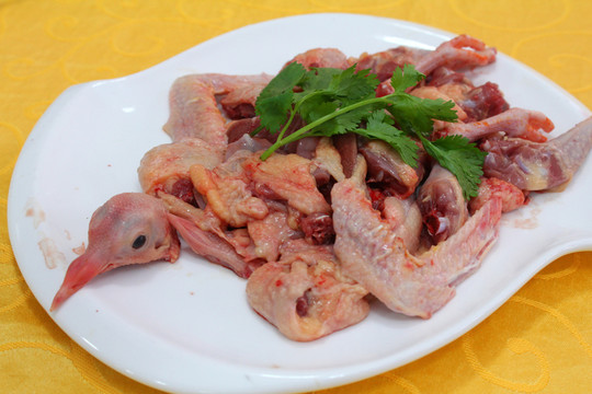 鴿子肉