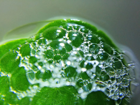泡沫 氣泡
