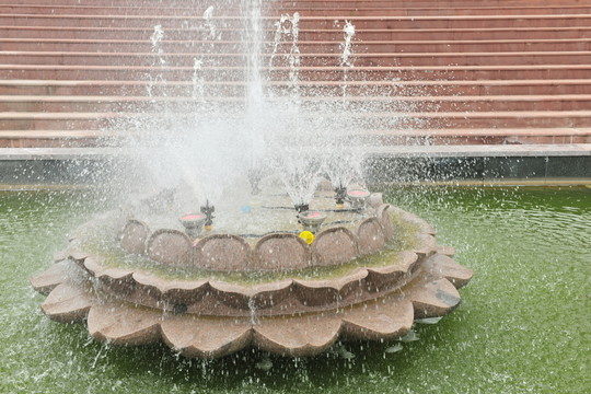 蓮花臺(tái)  水池  公園建筑