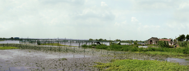 陽(yáng)澄湖大閘蟹養(yǎng)殖場(chǎng)全景圖