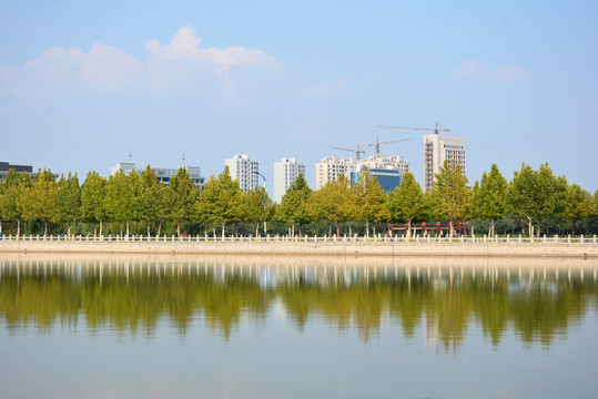 湖岸倒影