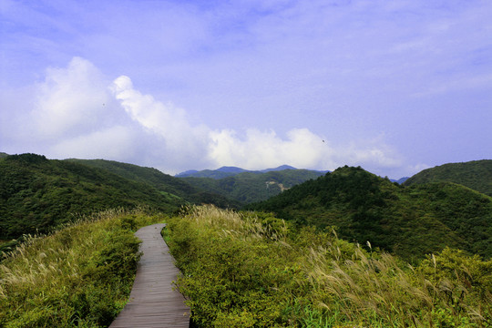 山路