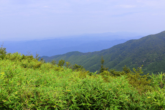 青山