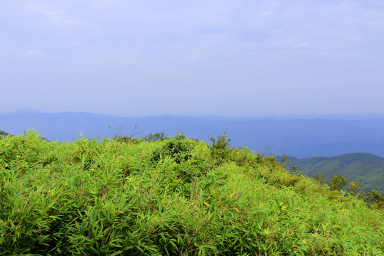 山脈 大山