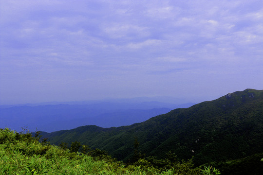 青山